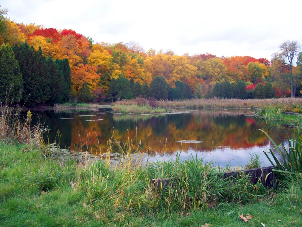 Pond on golf course surrounded by autumnal trees